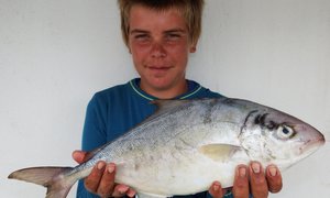 Rare vis vir Gansbaai